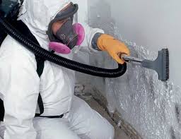 Best Forensic Mold Investigation in Galesville, MD